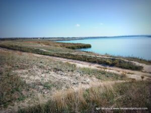 Камыши Порожнечи в Николаеве