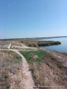 Камыши Порожнечи в Николаеве